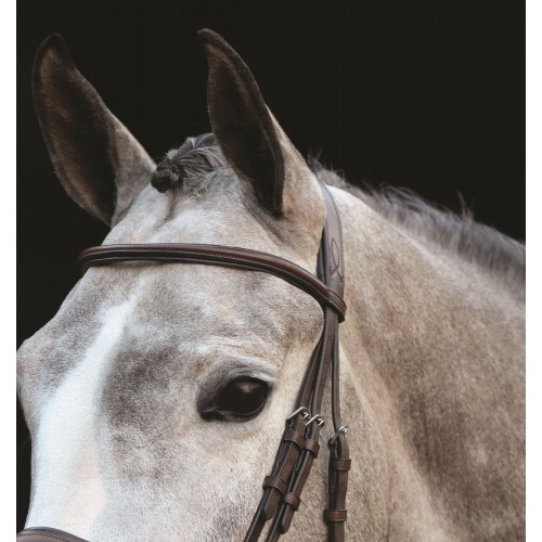 Collegiate Mono Crown Padded Raised Cavesson Bridle