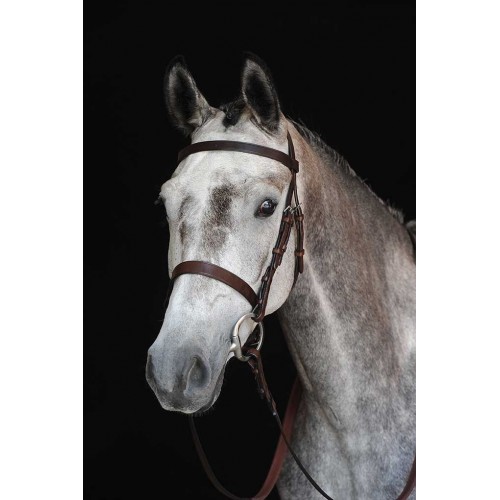 Collegiate Hunter Bridle IV