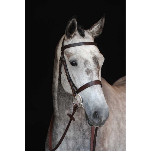 Collegiate Hunter Bridle IV