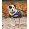 Waldhausen Comfort Dog Rug