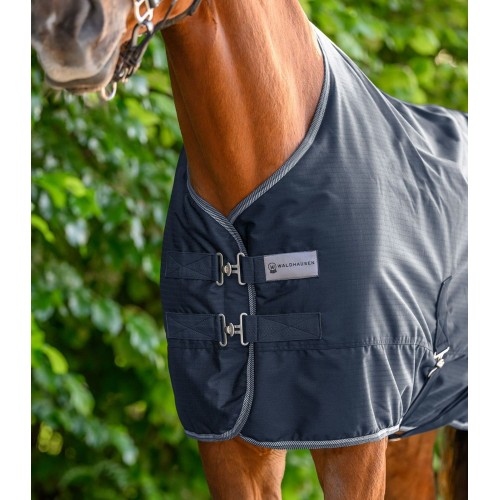 Waldhausen Economic Turnout Rug