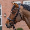 Passier Bridle Move powered by Julia Krajewski