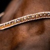 Imperial Riding SS26 Browband IRHGrande