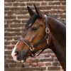 Waldhausen X-Line Leather Halter Rosé