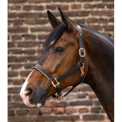 Waldhausen X-Line Leather Halter Rosé