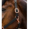 Waldhausen X-Line Leather Halter Rosé