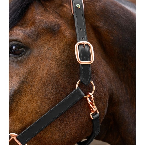 Waldhausen X-Line Leather Halter Rosé