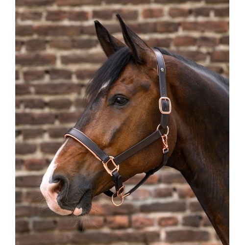Waldhausen X-Line Leather Halter Rosé