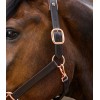 Waldhausen X-Line Leather Halter Rosé