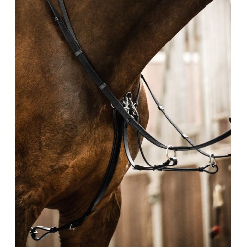 Waldhausen X-Line Martingale Professional