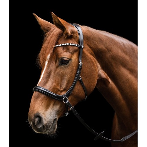 Waldhausen X-Line Bitless Bridle Sensation