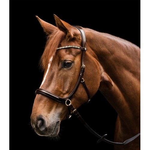 Waldhausen X-Line Bitless Bridle Sensation