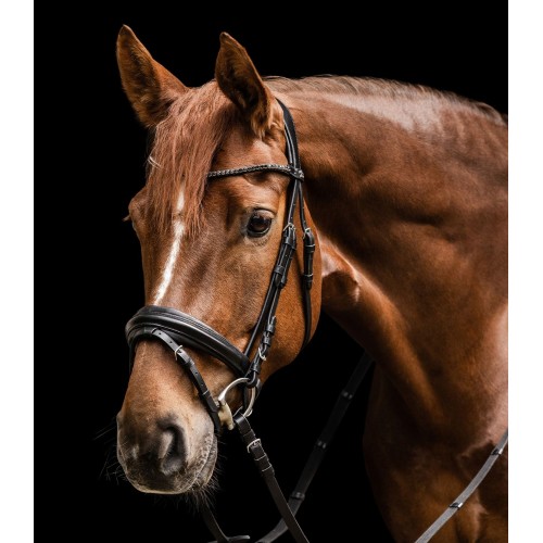 Waldhausen X-Line Bridle Favourite