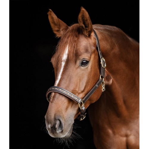 Waldhausen X-Line Leather Halter Crystal