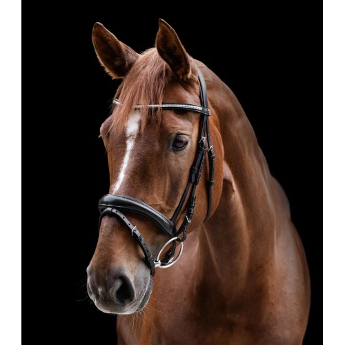 Waldhausen X-Line Bridle Clincher