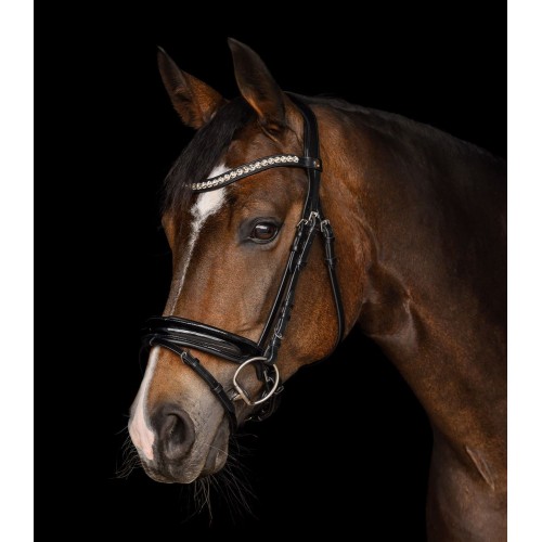 Waldhausen X-Line Bridle Evermore