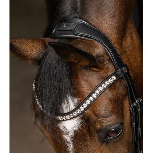 Waldhausen X-Line Bridle Evermore