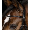 Waldhausen X-Line Bridle Charmbit