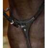 Waldhausen X-Line Breastplate Work