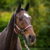 HV Polo SS26 Halter HVPFranka