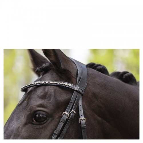 ANKY Comfort Fit Double Anatomical Bridle ATH19002