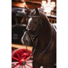 ANKY Professional Bridle