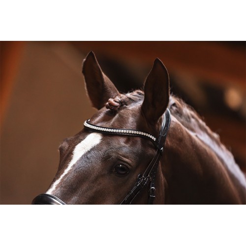 ANKY Professional Bridle