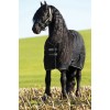 Rambo Stable Medium 200g
