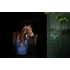 Horseware Signature Stable 200g