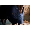 Horseware Signature Stable 200g