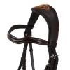 Acavallo Anatomical Bridle Allegoria