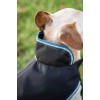 Bucas Anniversary Dog Rug