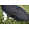 Bucas Anniversary Dog Rug