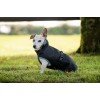 Bucas Anniversary Dog Rug