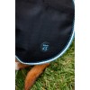 Bucas Anniversary Dog Rug