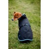 Bucas Anniversary Dog Rug