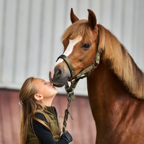 Imperial Riding SS26 Halter IRHRebel