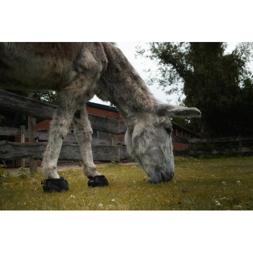 F.R.A. Cavallo Donkey Hoof Boots