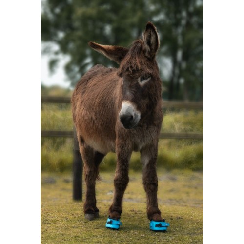 F.R.A. Cavallo Donkey Hoof Boots