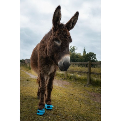 F.R.A. Cavallo Donkey Hoof Boots