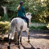 Horseware Close Contact Saddle Pad