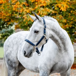 Horseware для ухода Headворотник