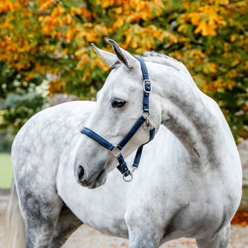 Horseware Grooming Headcollar