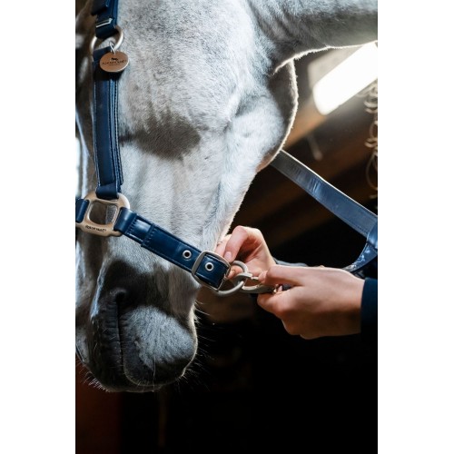 Horseware Grooming Headcollar