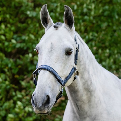 Horseware Grooming Headcollar