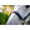 Horseware Grooming Headcollar