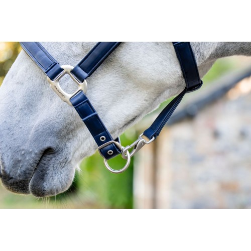 Horseware Grooming Headcollar