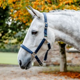 Horseware для ухода Headворотник