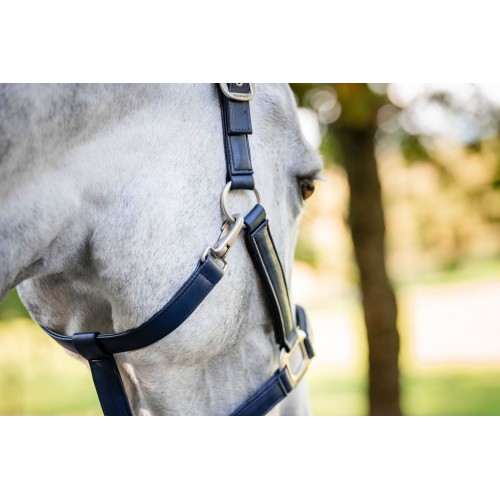 Horseware Grooming Headcollar