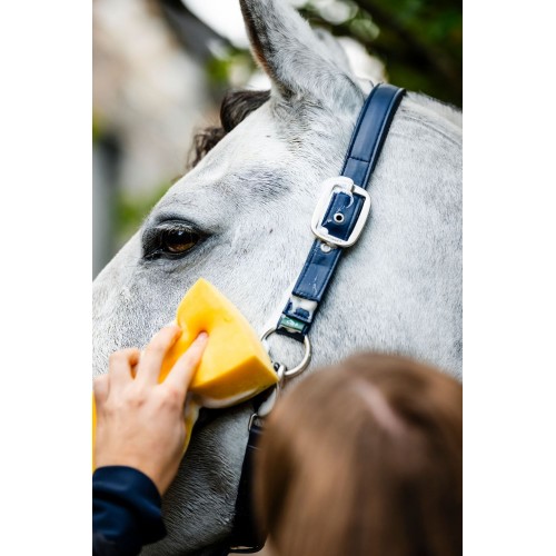 Horseware Grooming Headcollar